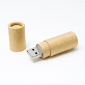 USB Flash Drive Antigua | CM-1067